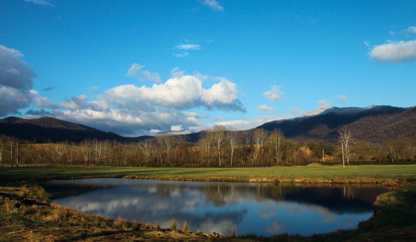 Discover Fly-Fishing in the Virginia Piedmont - Arlington Magazine